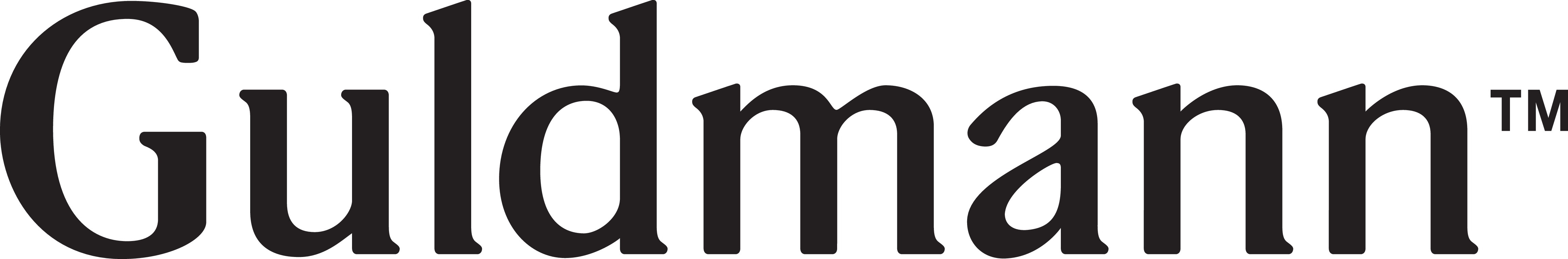guldmann-logo-sort